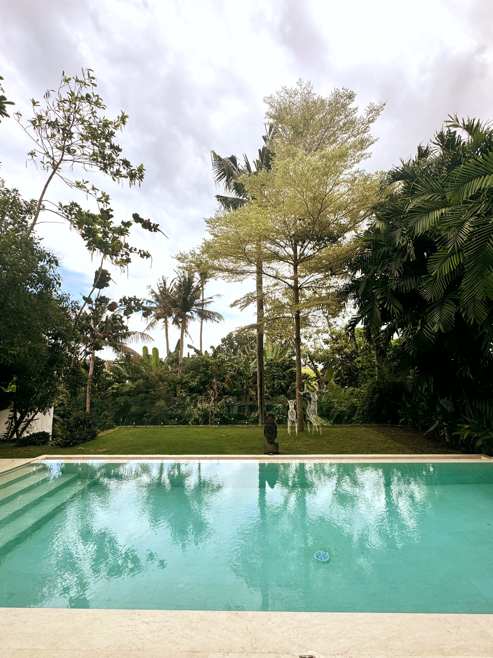 The Garden